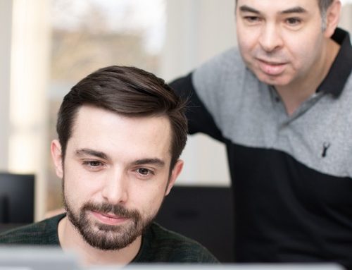 Paid Search Executive Job